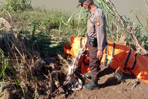penemuan mayat di Kecamatan Turatea
