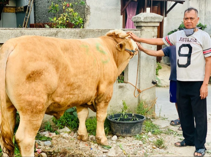 Hewan Kurban Idul Adha