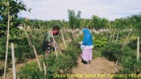 IMG-20200722-WA0025