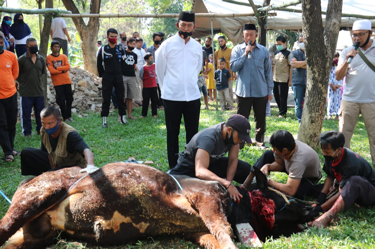 In Celebration of The Eid Al-Adha 1441 H, The Banten Police Mobile Brigade Slaughtered Dozens of Cows and Goats