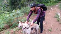 Berburu babi hutan