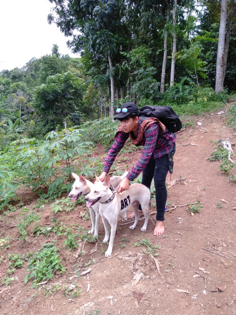 Berburu babi hutan