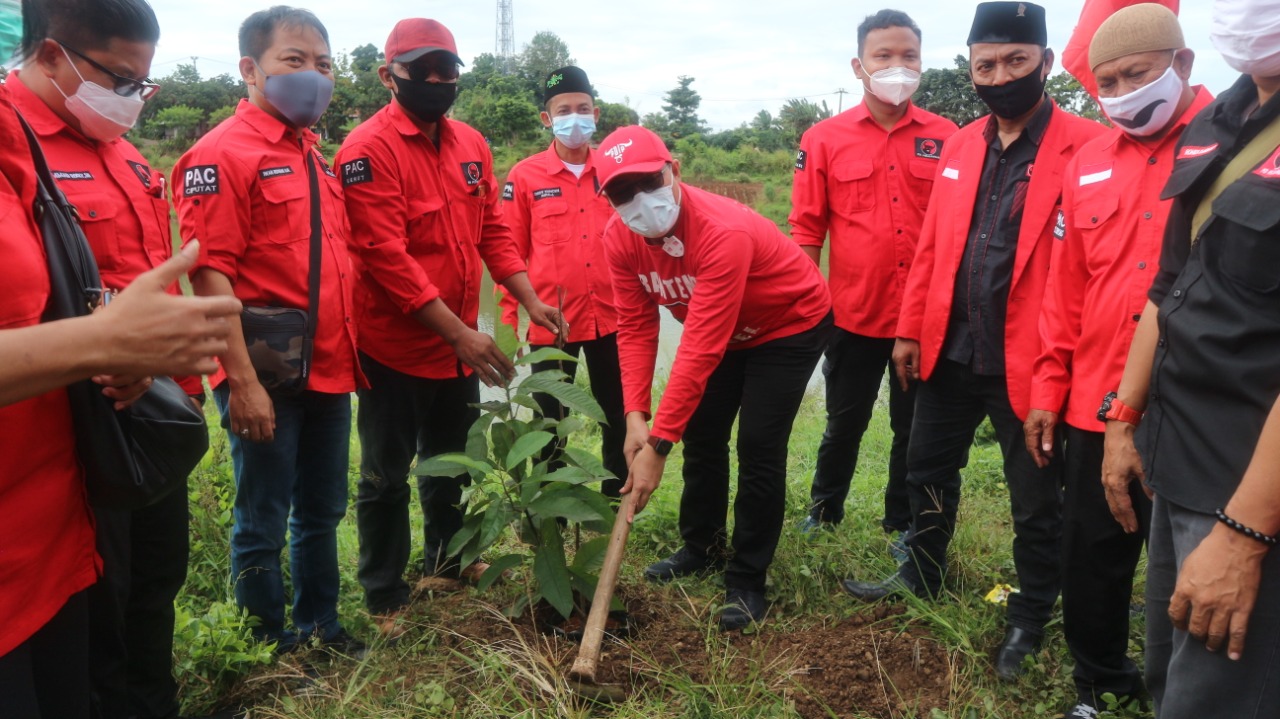 (DPC) PDI Perjuangan Tangsel bersama jajaran Pengurus Anak Cabang (PAC) dan Ranting, Badan dan Sayap partai melakukan gerakan menanam ratusan pohon di wilayah Situ Lengkong Serpong Utara, Tangerang Selatan