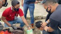IMG-20210124-WA0003