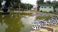 IMG-20210209-WA0038