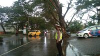 IMG-20210429-WA0108