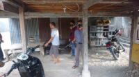 IMG-20210613-WA0019