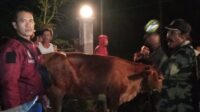 IMG-20220418-WA0141