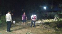 IMG-20220802-WA0011