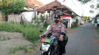 IMG-20220813-WA0018