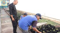 IMG-20241119-WA0072