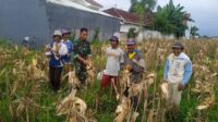 IMG-20250128-WA0018