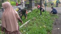 IMG-20250222-WA0030