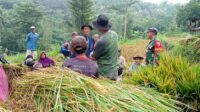 IMG-20250226-WA0025