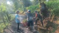 IMG-20250514-WA0014