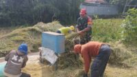IMG-20250605-WA0062