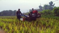 IMG-20250627-WA0026