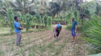 IMG-20250721-WA0162