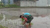 IMG-20250912-WA0023