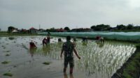 IMG-20260104-WA0061