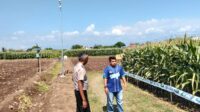 IMG-20260624-WA0022