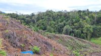 IMG-20261028-WA0049